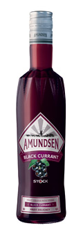 Amundsen Black Currant